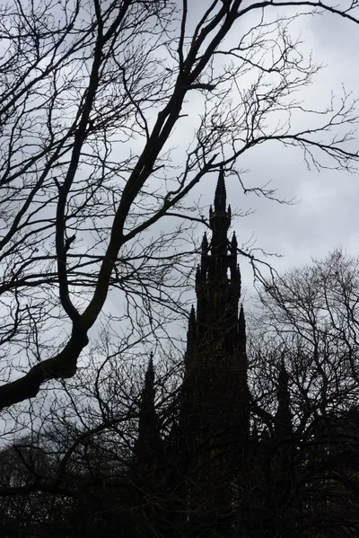 DSC_7306 (Large).JPG